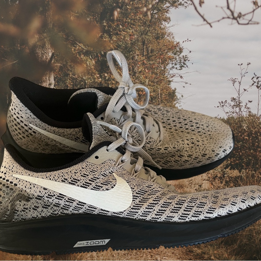Nike zoom pegasus 35